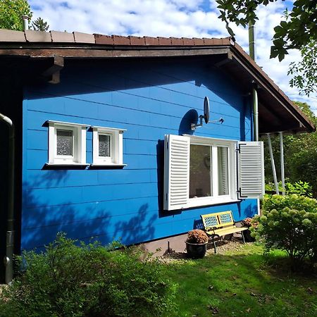 Platell Ferienhausverwaltung Санкт-Андреасберг Экстерьер фото