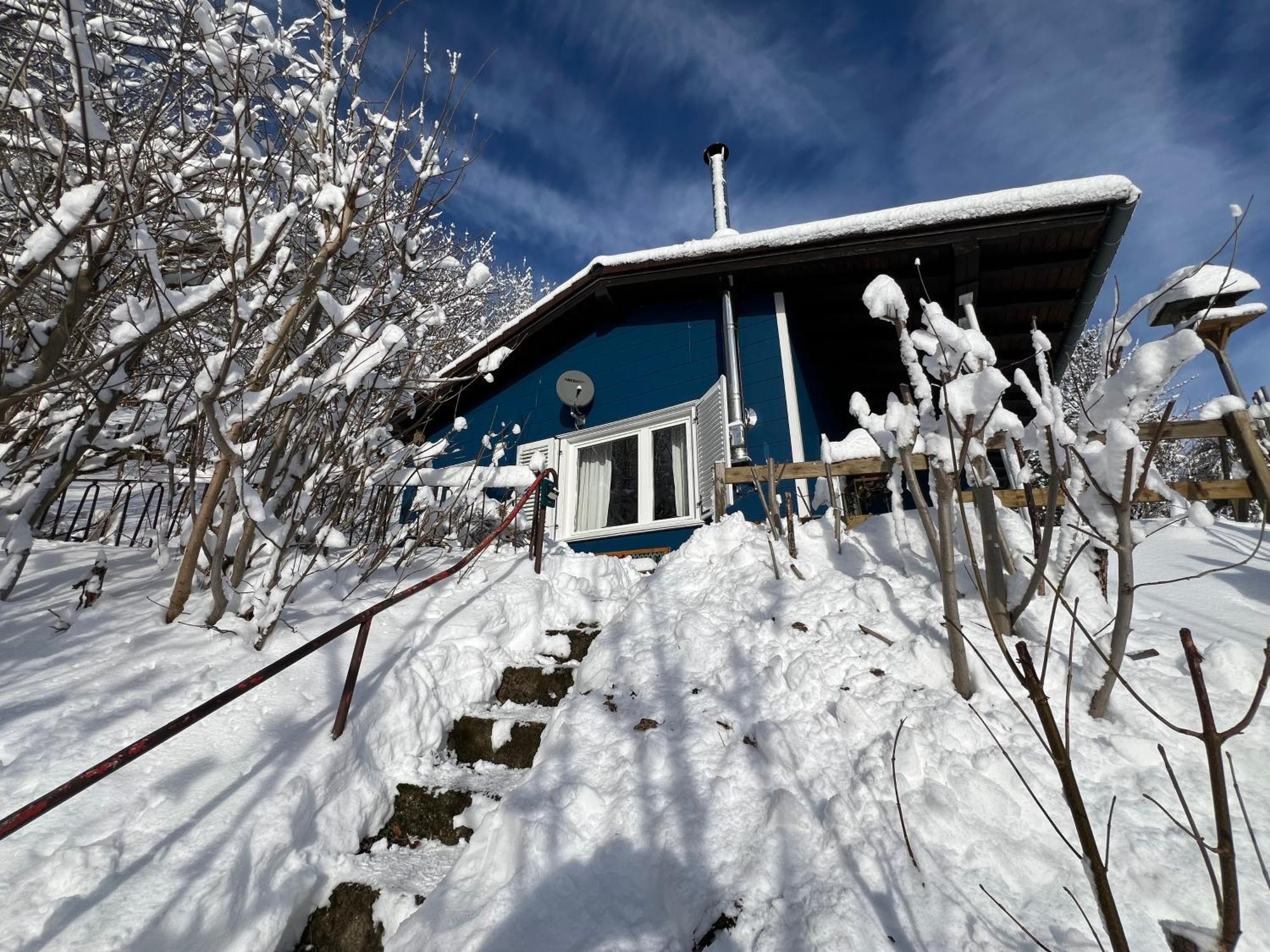 Platell Ferienhausverwaltung Санкт-Андреасберг Экстерьер фото